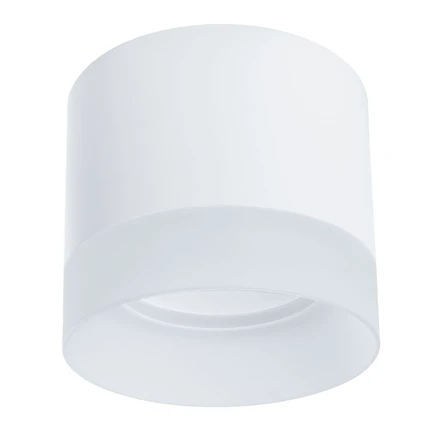 Точечный накладной светильник Arte Lamp CASTOR A5554PL-1WH